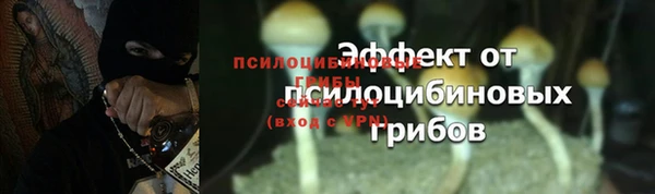 сатива Нязепетровск
