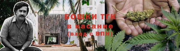 прущие крисы Балахна