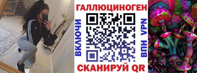 ссылка на мегу ONION купить закладку Кудрово Псилоцибиновые грибы Psilocybe